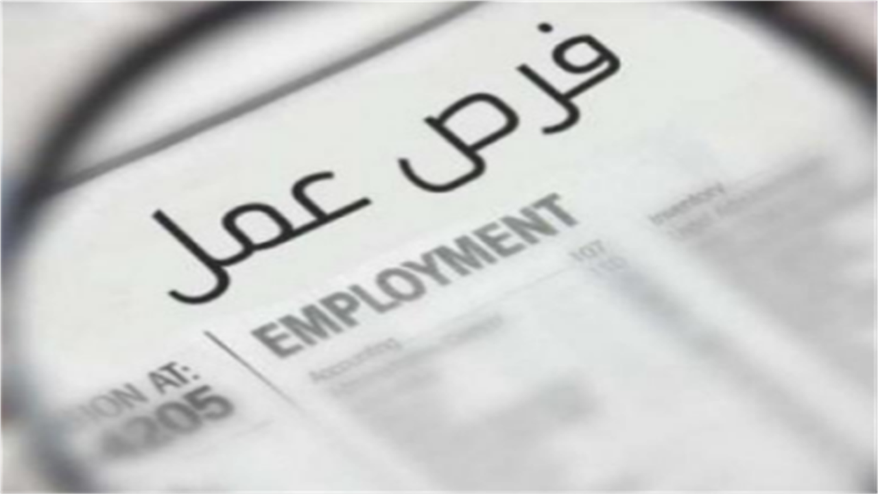 وظائف خالية براتب يصل إلى 15 ألف جنيه شهريا.. اعرف التخصصات والشروط